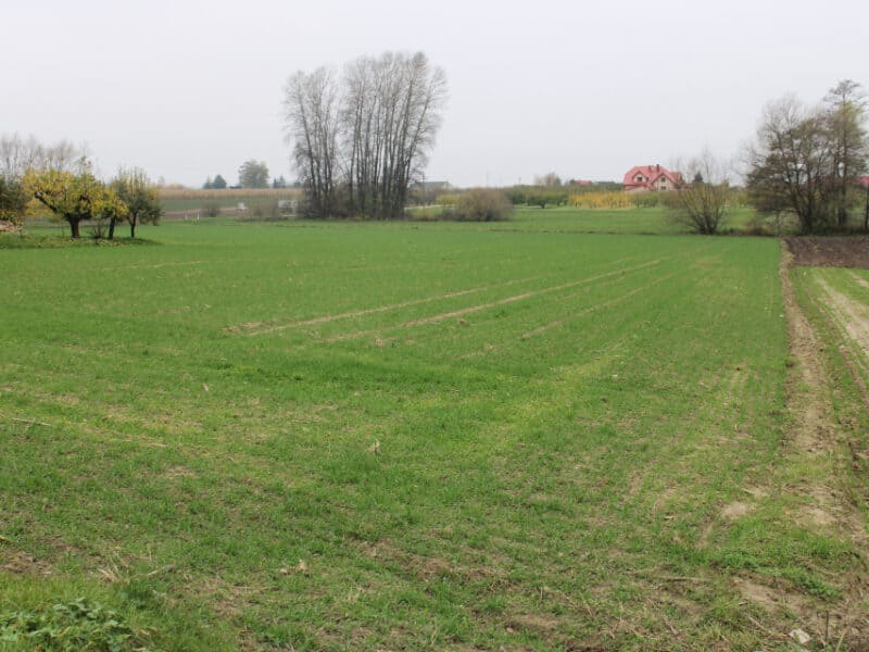 BARCIKOWO (gm. Słupno)