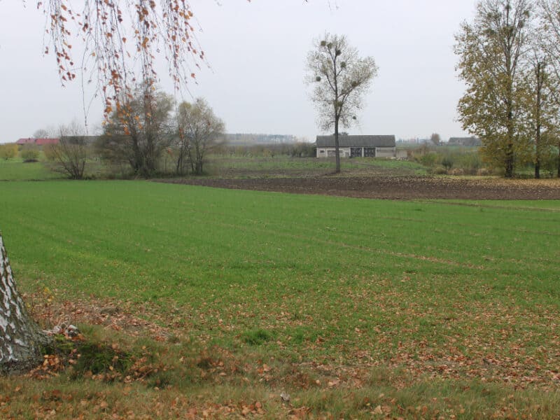 BARCIKOWO (gm. Słupno)