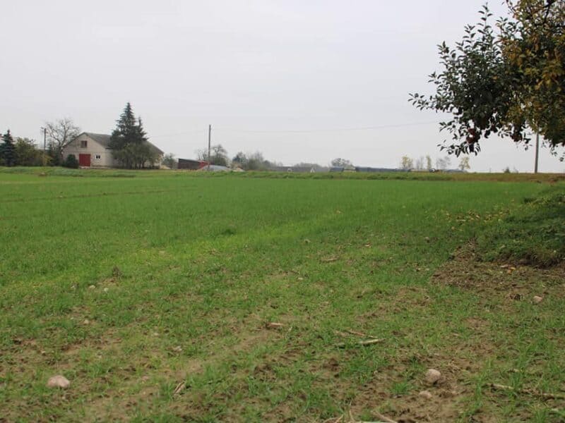 BARCIKOWO (gm. Słupno)