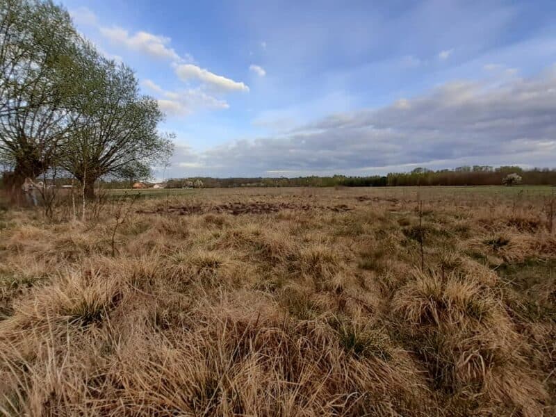KAROLEWO (gm. Nowy Duninów)