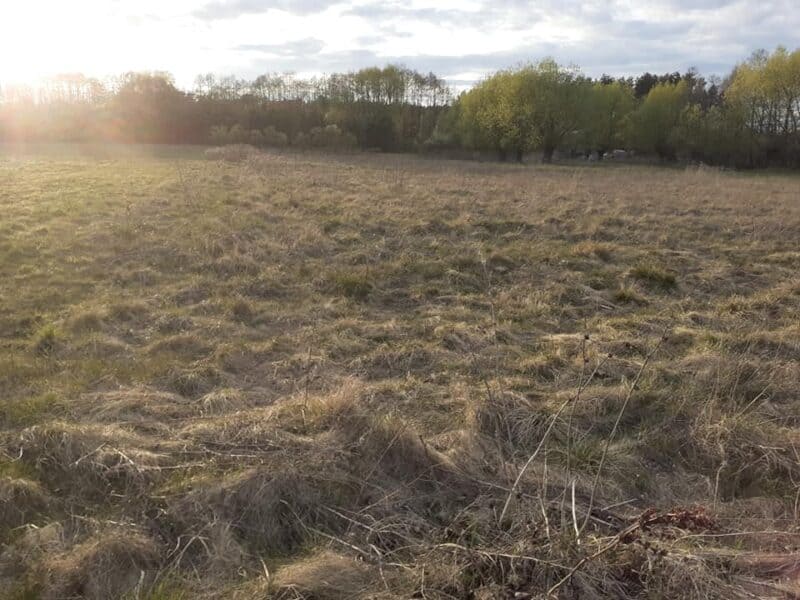 KAROLEWO (gm. Nowy Duninów)