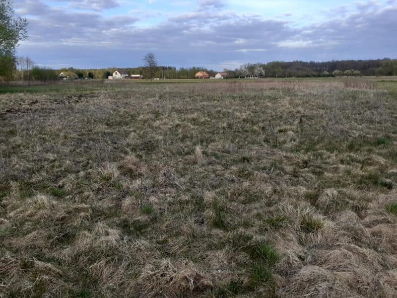 KAROLEWO (gm. Nowy Duninów)