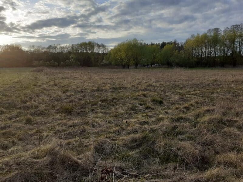 KAROLEWO (gm. Nowy Duninów)