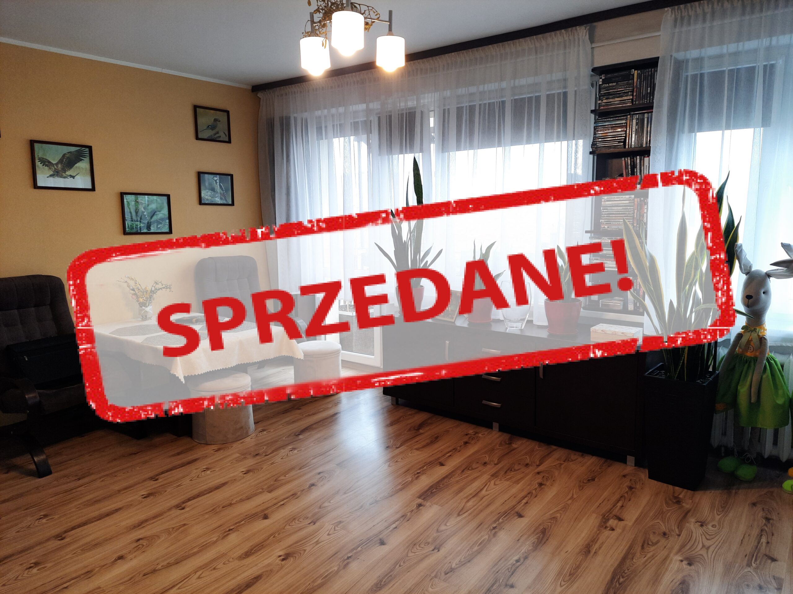 PŁOCK | ul. Traugutta 6