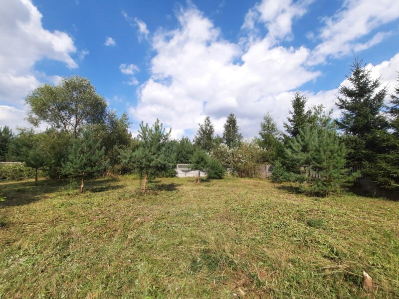 KOSZELÓWKA (gm. Łąck)