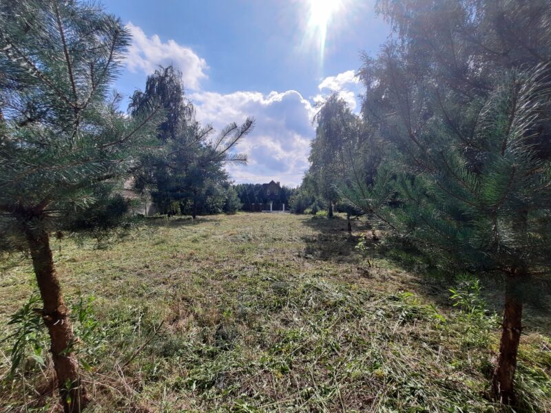 KOSZELÓWKA (gm. Łąck)