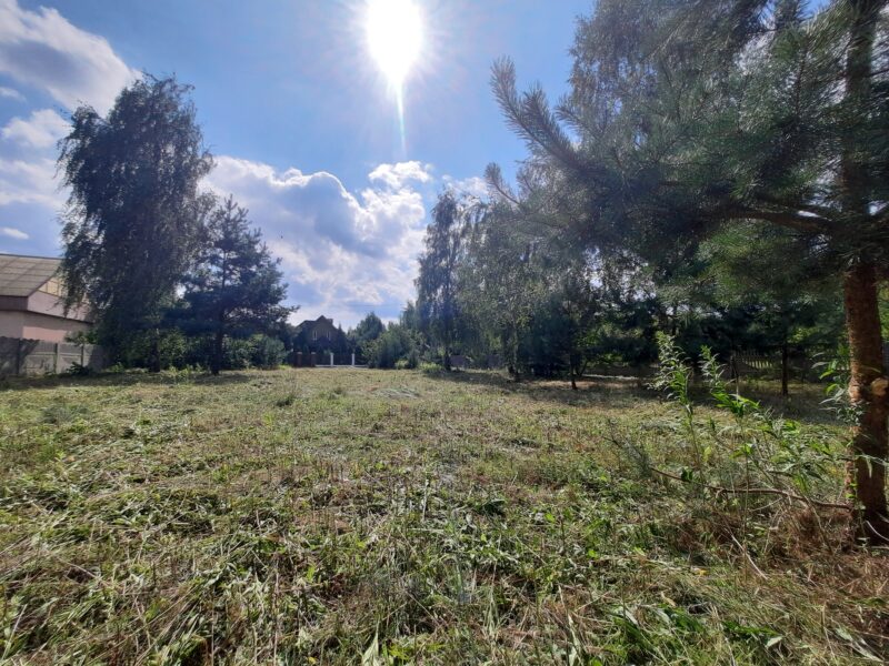 KOSZELÓWKA (gm. Łąck)