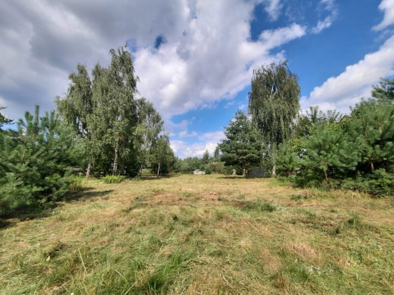 KOSZELÓWKA (gm. Łąck)