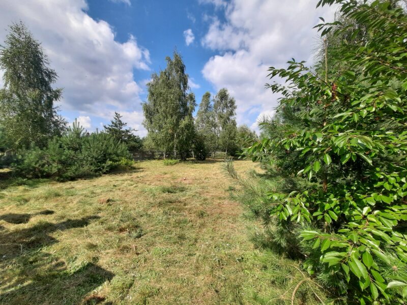 KOSZELÓWKA (gm. Łąck)