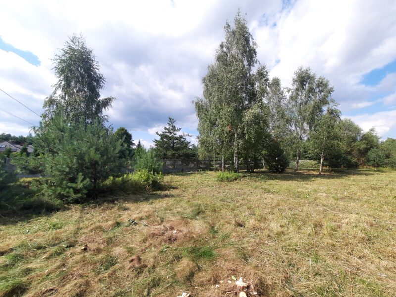 KOSZELÓWKA (gm. Łąck)