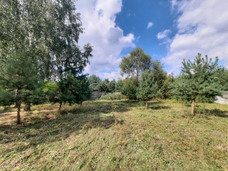 KOSZELÓWKA (gm. Łąck)