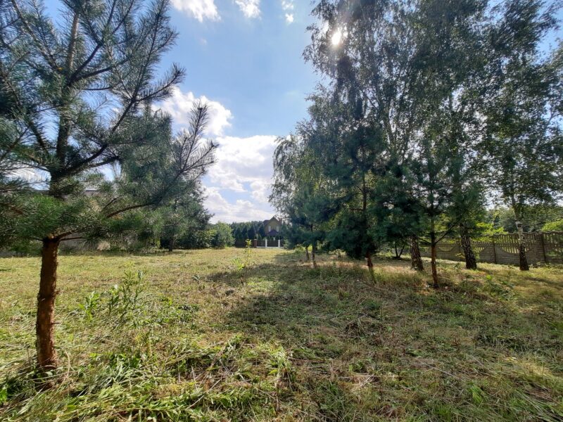 KOSZELÓWKA (gm. Łąck)