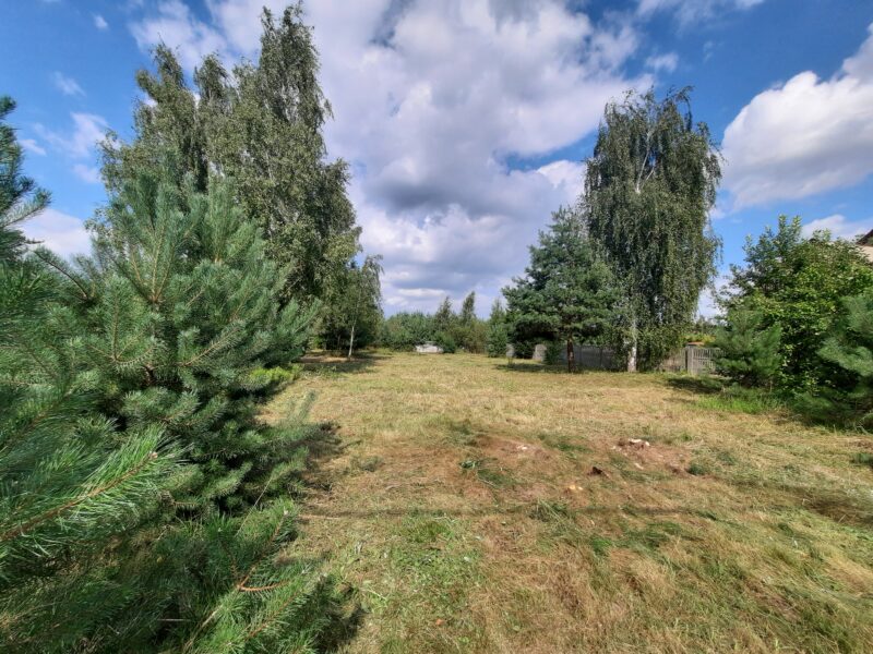 KOSZELÓWKA (gm. Łąck)