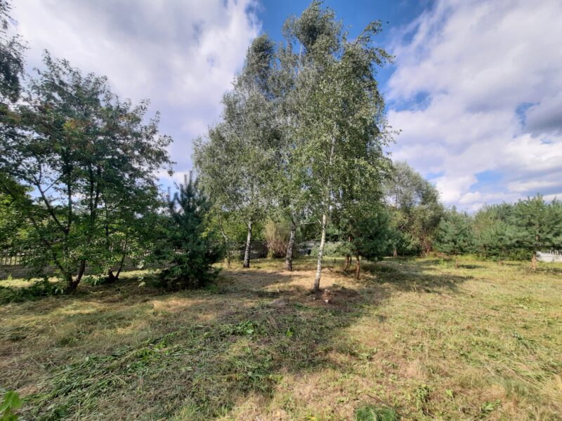 KOSZELÓWKA (gm. Łąck)