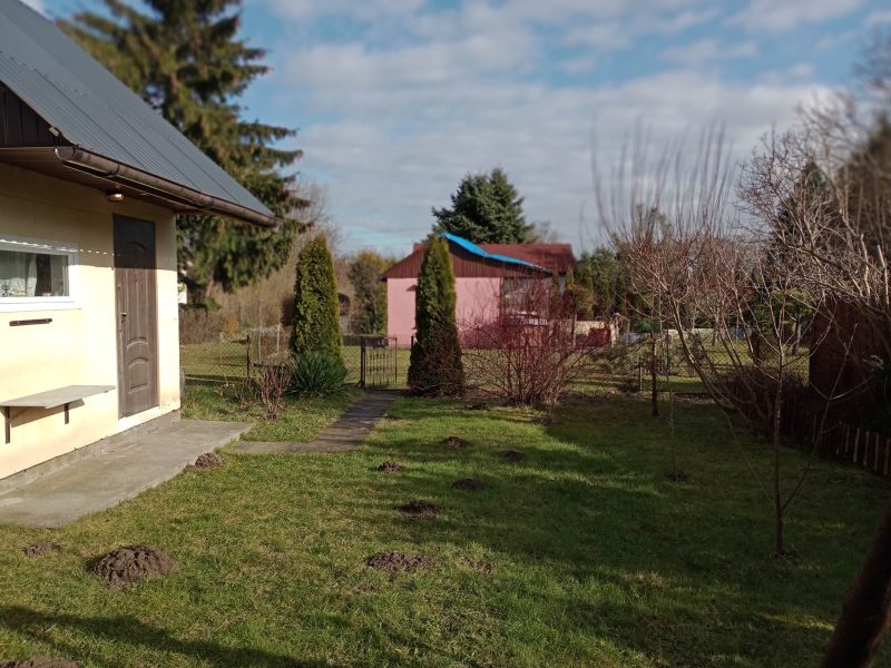 PŁOCK | ul. Szpitalna 2