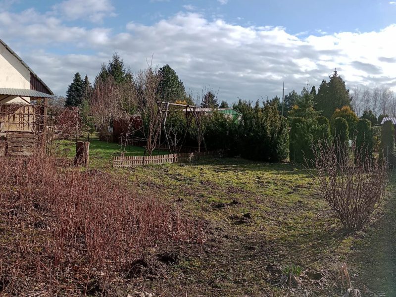 PŁOCK | ul. Szpitalna 2