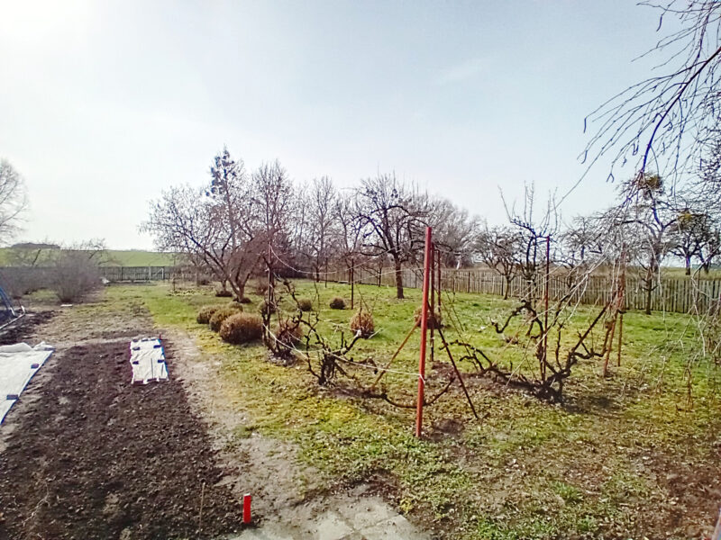 BUDY KOZICKIE 10A (gm. Gostynin)