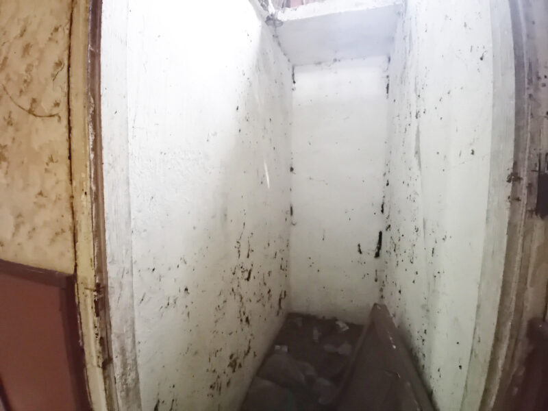 KORZEŃ KRÓLEWSKI 2 (gm. Łąck)