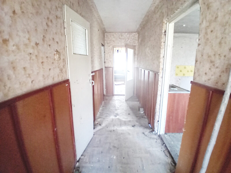 KORZEŃ KRÓLEWSKI 2 (gm. Łąck)