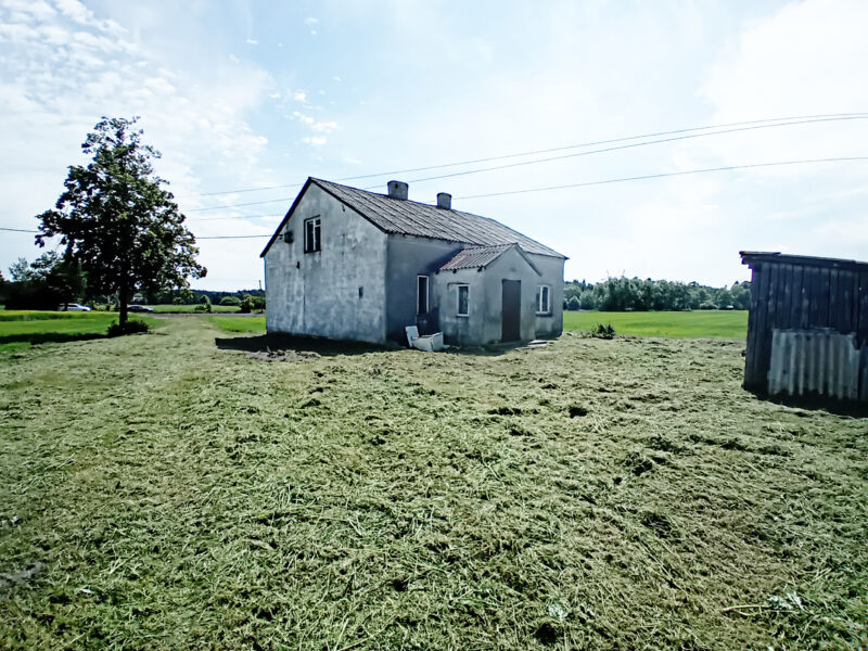 KORZEŃ KRÓLEWSKI 2 (gm. Łąck)