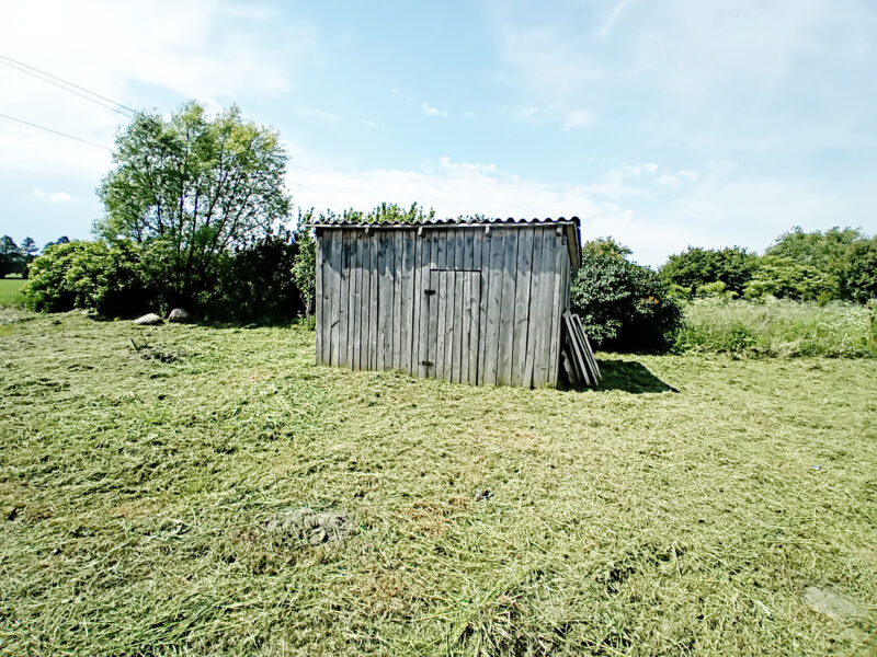 KORZEŃ KRÓLEWSKI 2 (gm. Łąck)