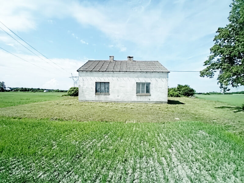 KORZEŃ KRÓLEWSKI 2 (gm. Łąck)