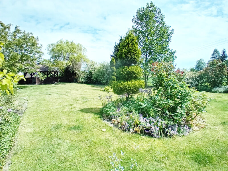 WŁADYSŁAWÓW 2/1 (gm. Łąck)