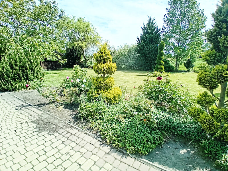 WŁADYSŁAWÓW 2/1 (gm. Łąck)