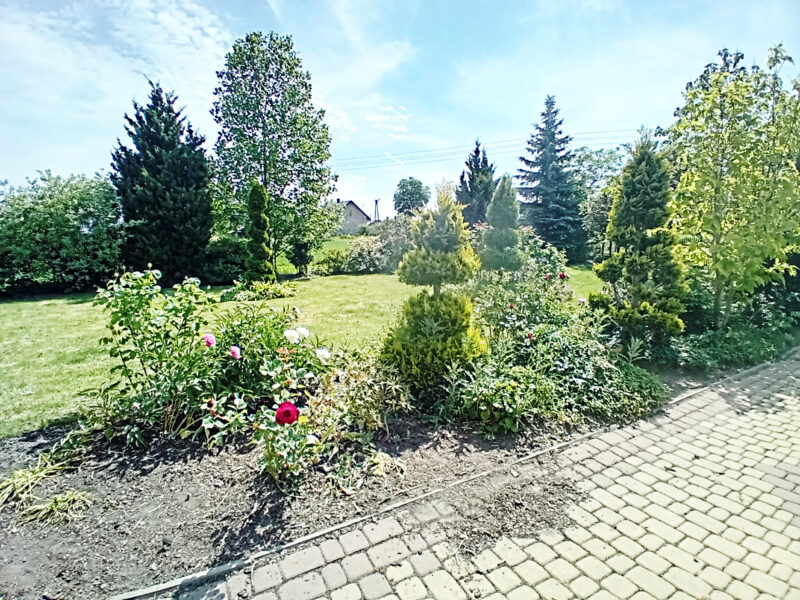 WŁADYSŁAWÓW 2/1 (gm. Łąck)