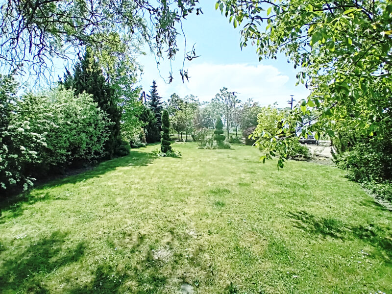 WŁADYSŁAWÓW 2/1 (gm. Łąck)