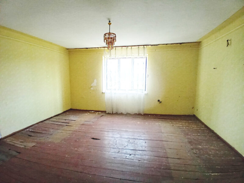 KORZEŃ KRÓLEWSKI 2 (gm. Łąck)