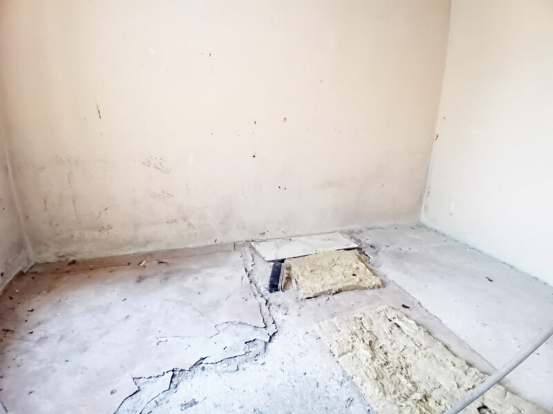 KORZEŃ KRÓLEWSKI 2 (gm. Łąck)