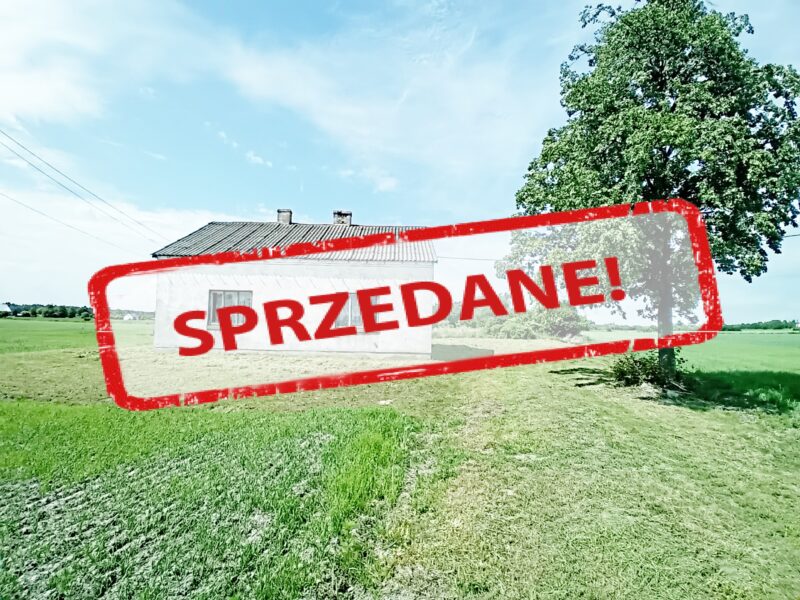 KORZEŃ KRÓLEWSKI 2 (gm. Łąck)